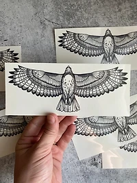 Hawk