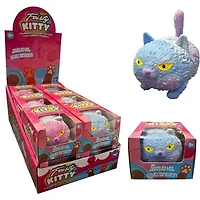 FEISTY KITTY STRETCHY CAT TOY