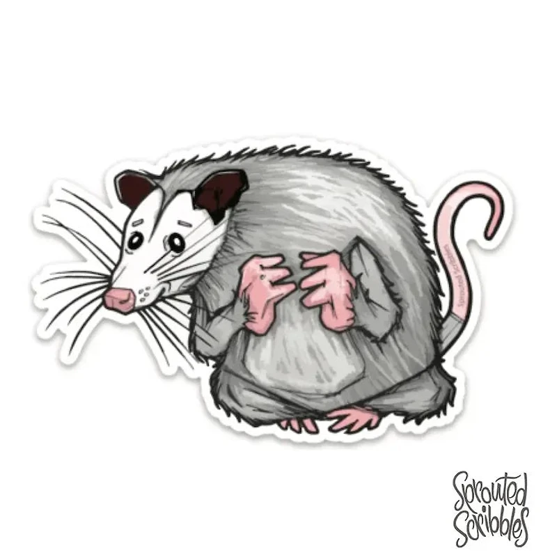 Opossum