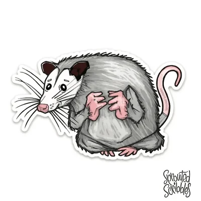 Opossum