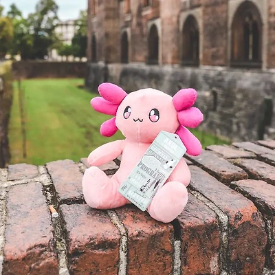 Axol Plush Pink Scented