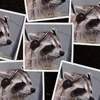 Slow Heavy Metal Raccoon Vinyl Sticker