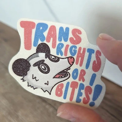 Trans Rights or I Bites