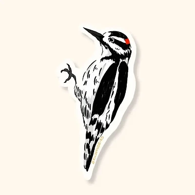 Hairy Woodpecker Sticker | Waterproof Vinyl Bird Sticker