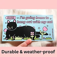 Hang Out With My Cat Bumper Sticker