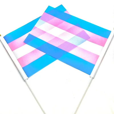Transgender Hand Held Pride Flag