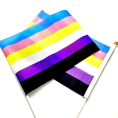 Transgender And Non Binary Hand Held Pride Flag