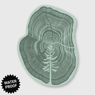 Tree In A Tree Sticker