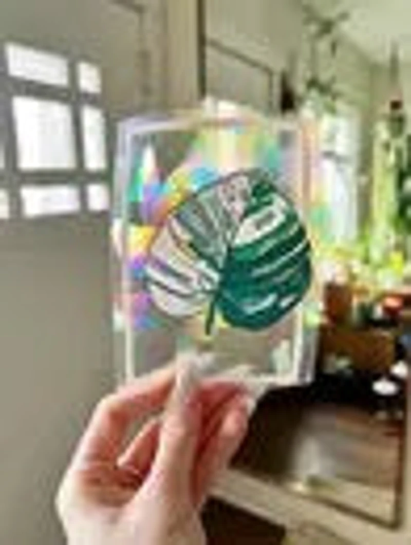 Variegated Monstera Suncatcher