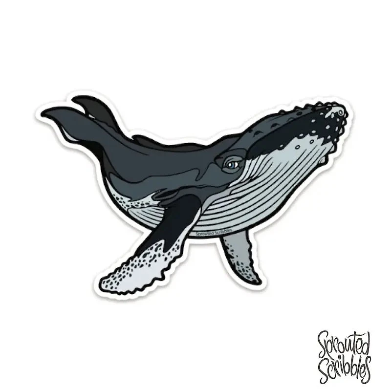 Whale Sticker