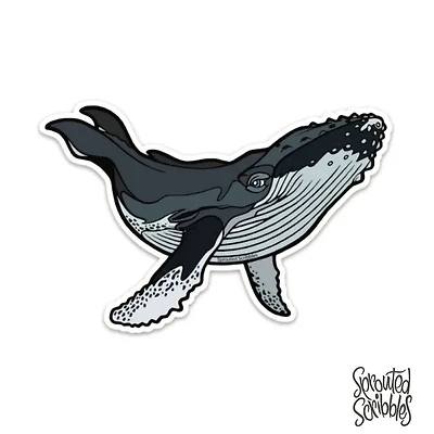 Whale Sticker