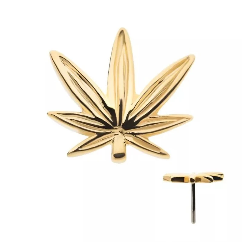 Tapa de hoja de maceta sin rosca en oro amarillo de 14 quilates