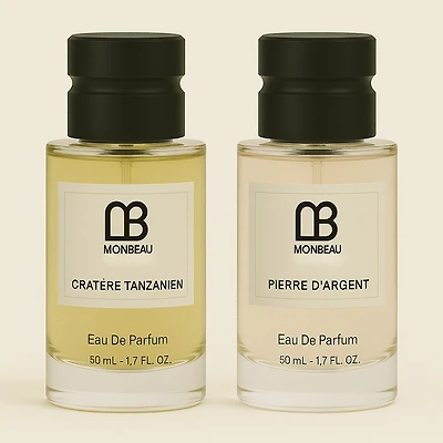 CRATÈRE TANZANIEN & PIERRE D'ARGENT