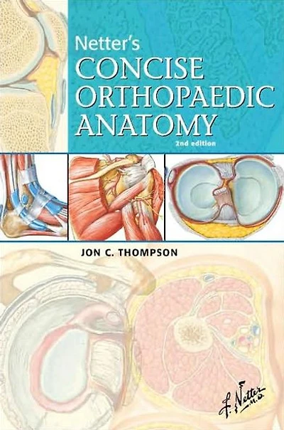 Netter's Concise Orthopaedic Anatomy