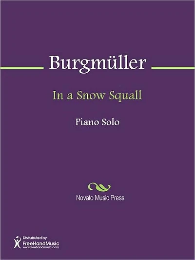 In a Snow Squall