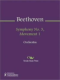 Symphony No. 3, Movement 1