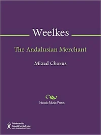The Andalusian Merchant
