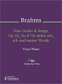 Nine Lieder & Songs, Op.32, No.8 "So stehn wir, ich und meine Weide