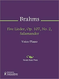 Five Lieder, Op. 107, No. 2, Salamander