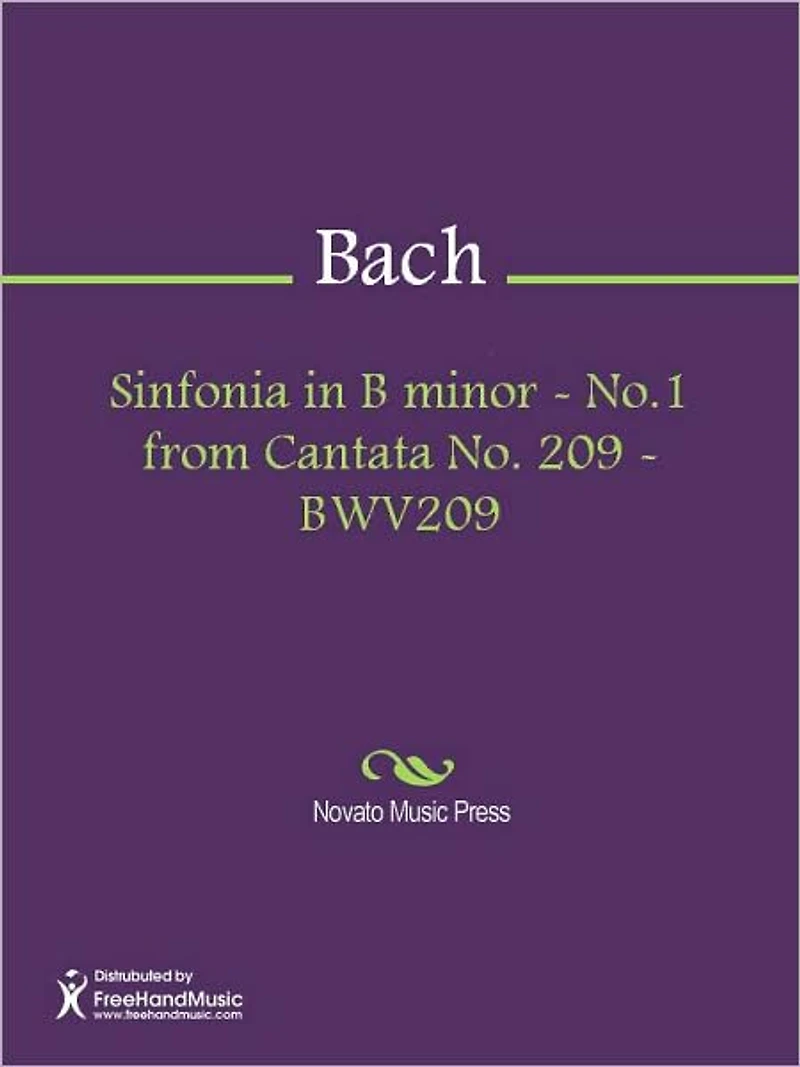 Sinfonia in B minor - No.1 from Cantata No. 209 - BWV209