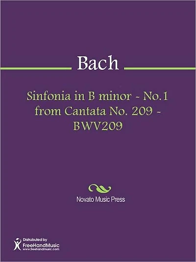 Sinfonia in B minor - No.1 from Cantata No. 209 - BWV209