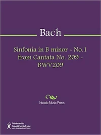 Sinfonia in B minor - No.1 from Cantata No. 209 - BWV209