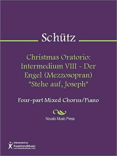 Christmas Oratorio: Intermedium VIII - Der Engel (Mezzosopran) "Stehe auf, Joseph"