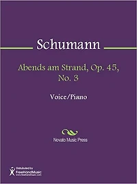 Abends am Strand, Op. 45, No. 3