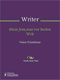 Mein Jesu,was vor Seelen Weh