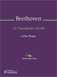 12 Variations Op.66