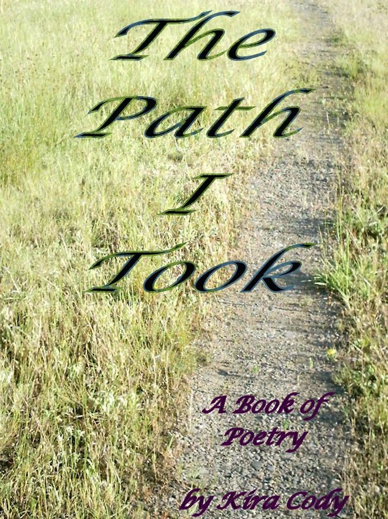 The Path I Took