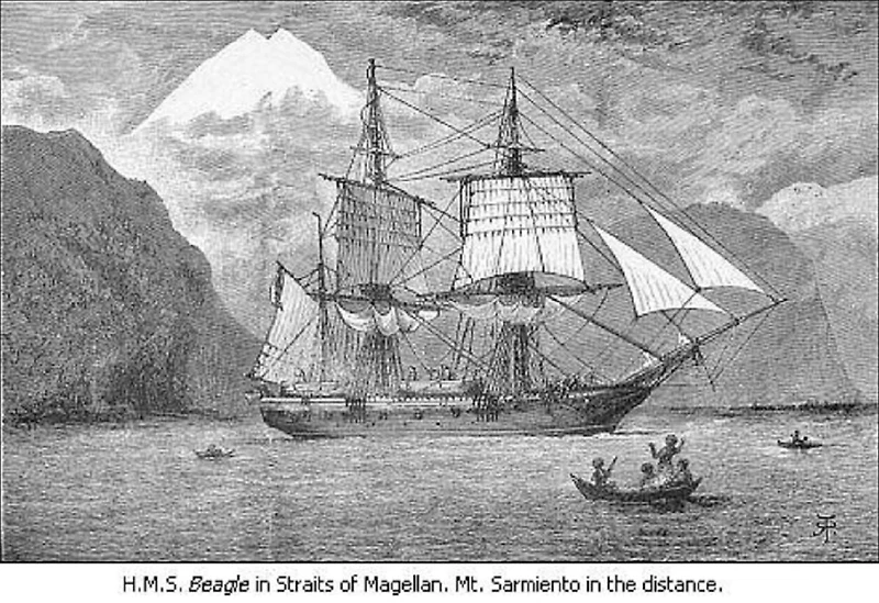 The Voyage of the Beagle, Or a Naturalist's Voyage Round the World