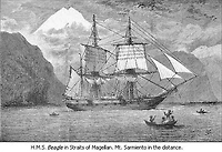 The Voyage of the Beagle, Or a Naturalist's Voyage Round the World