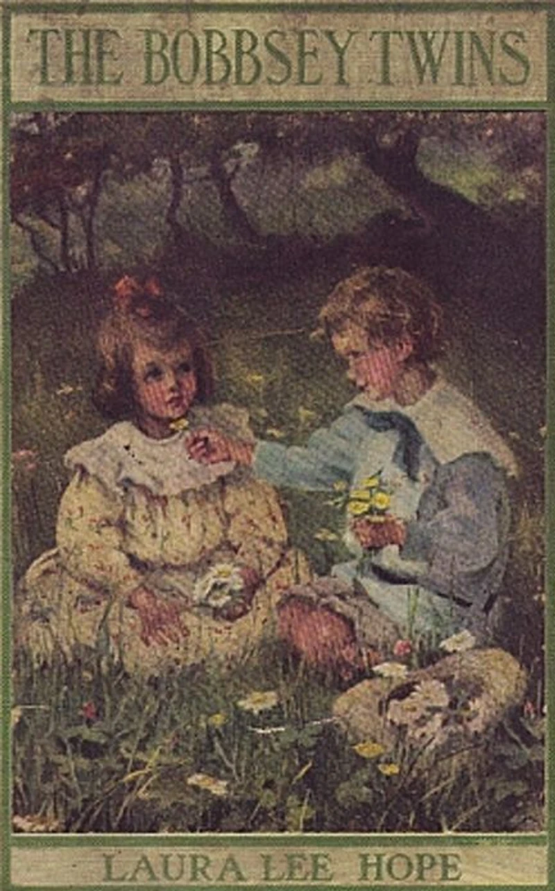 The Bobbsey Twins Washington