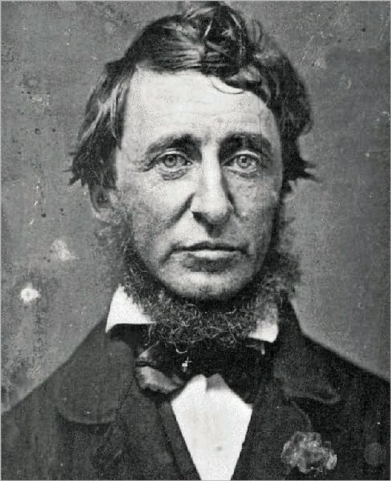 A Pleas for Captain John Brown