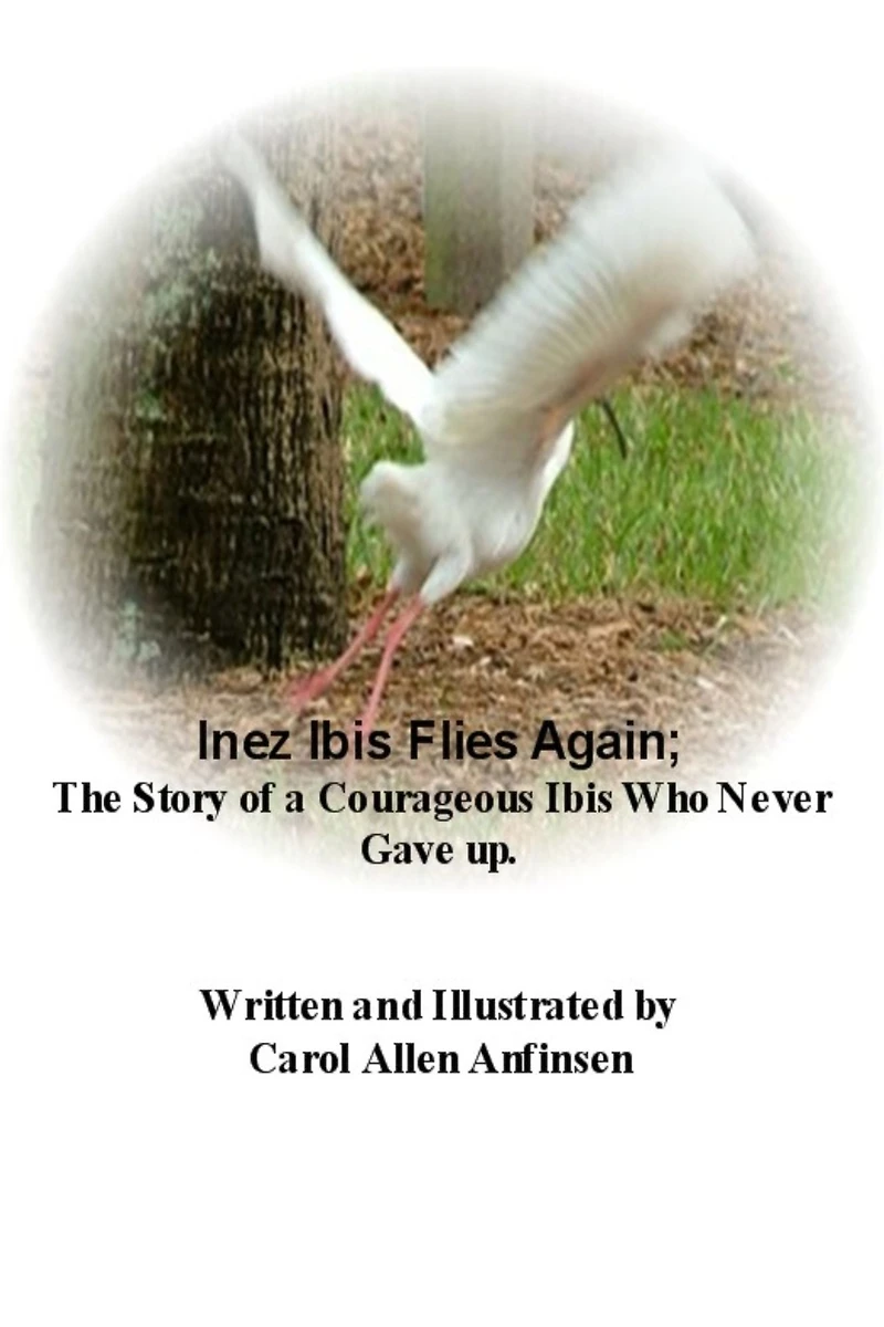 Inez Ibis Flies Again; The Story of a Courageous Ibis Who Never Gave up.