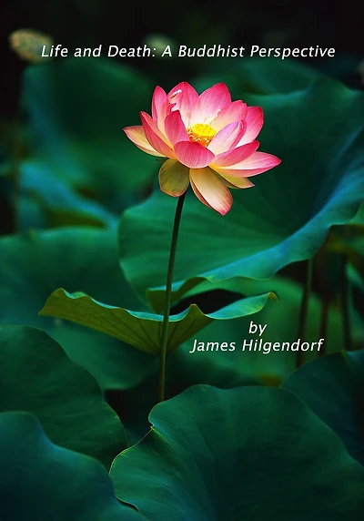 Life & Death: A Buddhist Perspective
