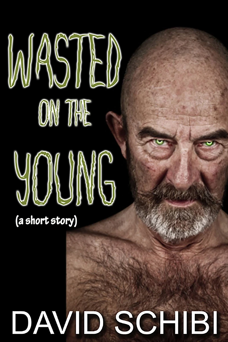 Wasted On The Young
