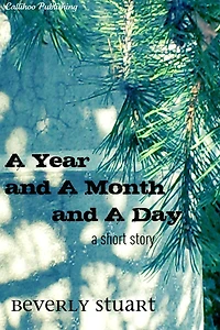 A Year and a Month and a Day