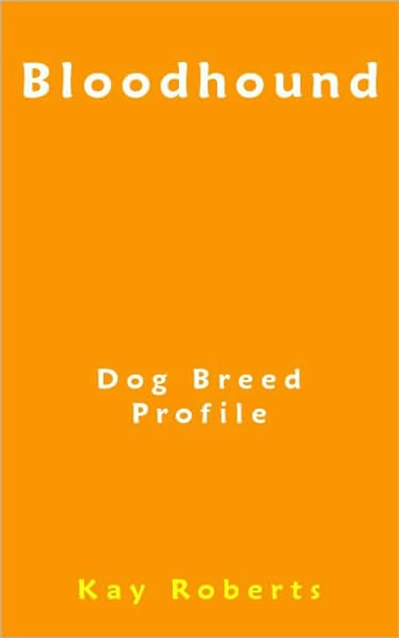 Bloodhound Dog Breed Profile