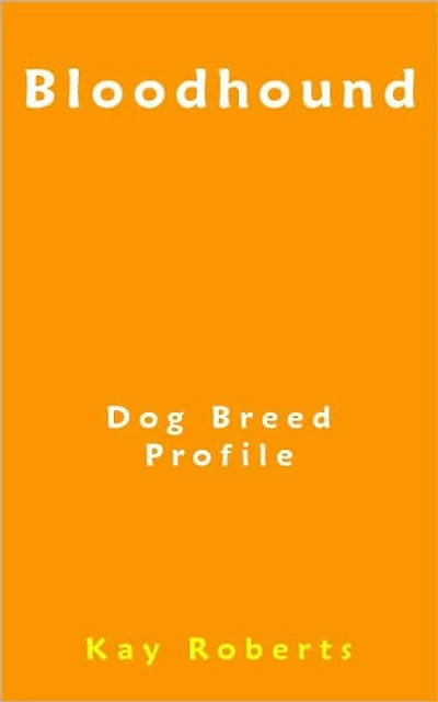 Bloodhound Dog Breed Profile