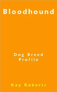 Bloodhound Dog Breed Profile