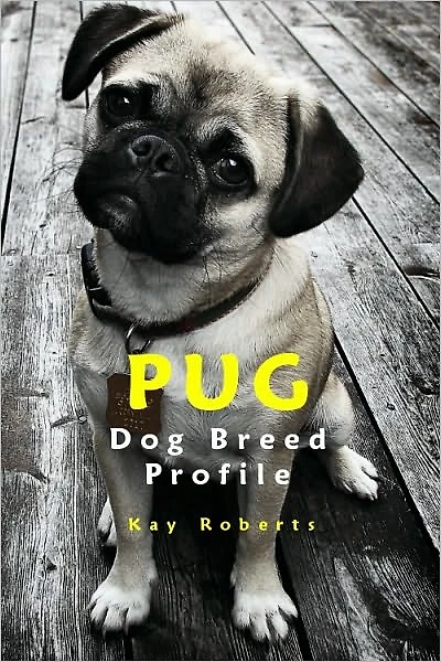 Pug Dog Breed Profile