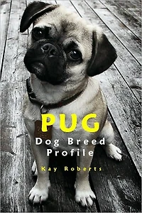 Pug Dog Breed Profile