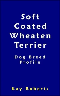 Soft Coated Wheaten Terrier Dog Breed Profile