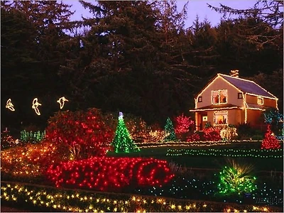 Holiday Lighting Service Start Up Sample Business Plan!