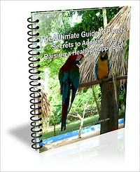 The Ultimate Guide to Parrots: Secrets to Adopting and Raising a Healthy, Happy Bird