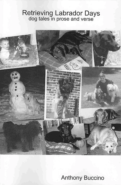 Retrieving Labrador Days dog tales prose and verse