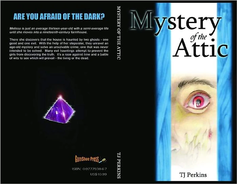 Mystery of the Attic