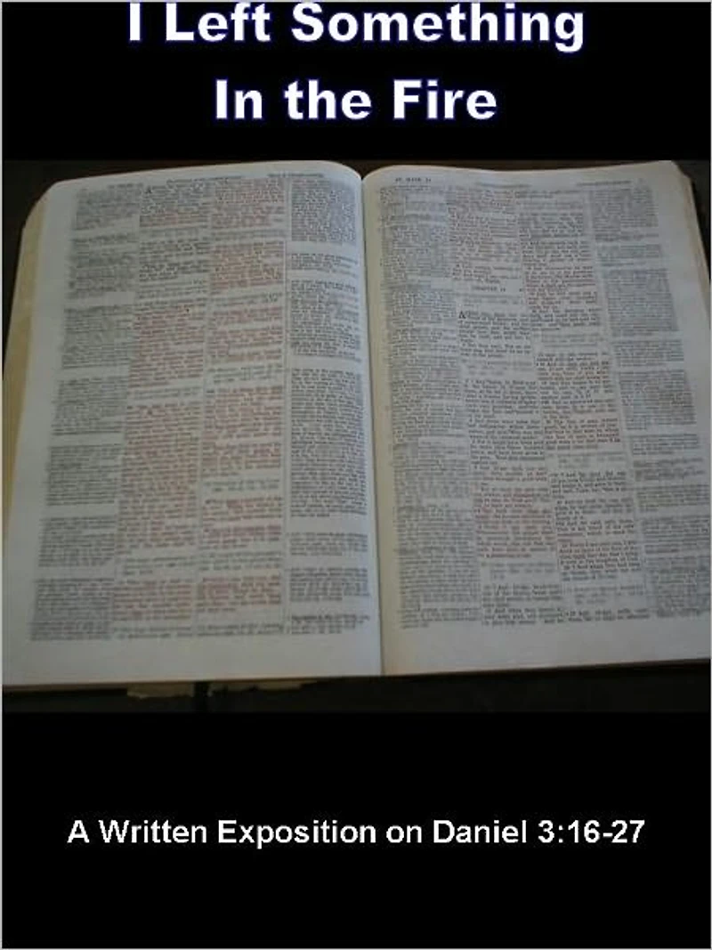 I Left Something in the Fire - Sermon on Daniel 3:16-27